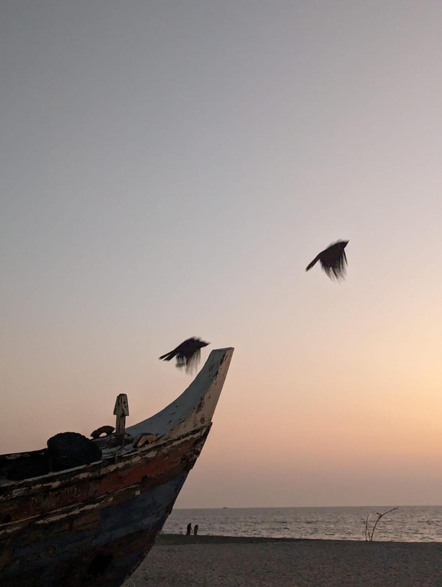 Tripsea Beach Villa Alappuzha Kültér fotó