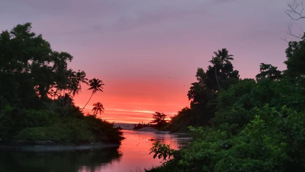 Tripsea Beach Villa Alappuzha Kültér fotó